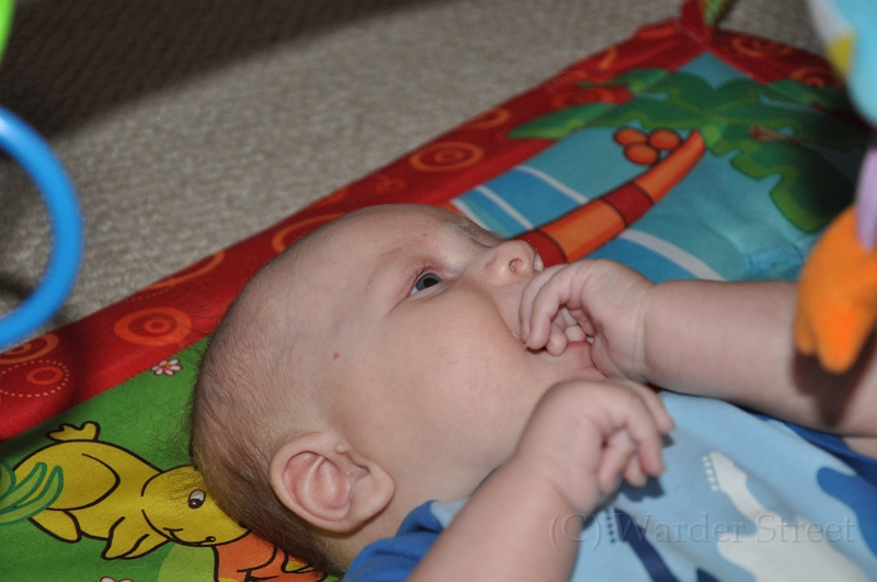 William's Tenth Week 16.jpg